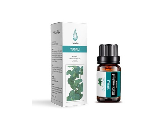 Lavender Rose Essential Oil | OEM Aromatherapy & Humidification Dream Tech Sleep