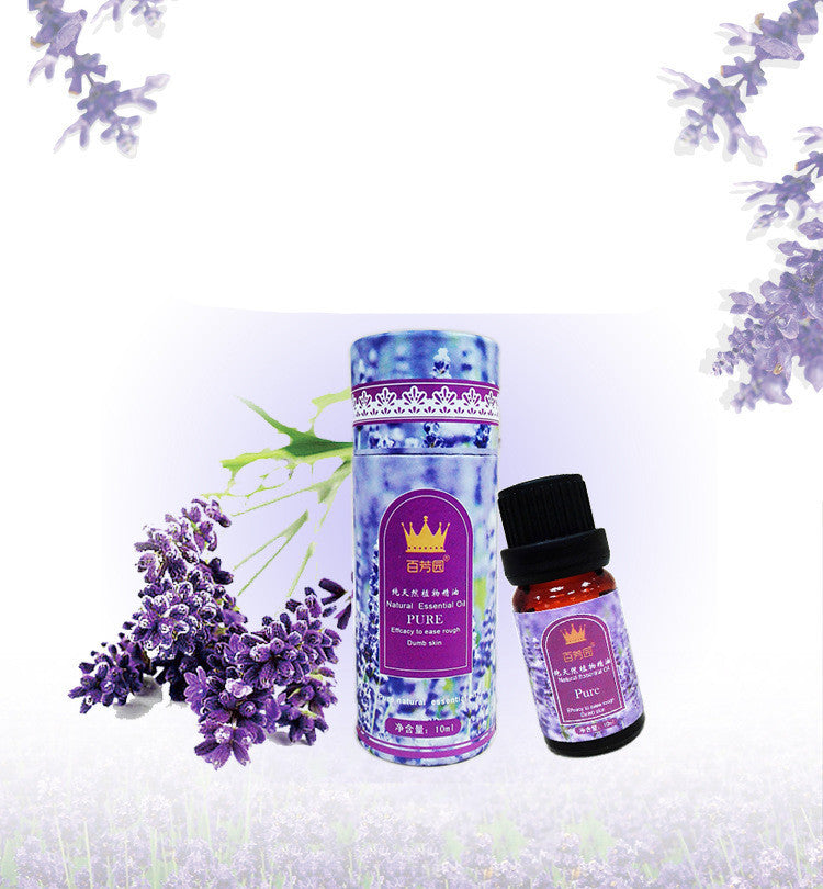 Lavender Essential Oil 10ml Dream Tech Sleep