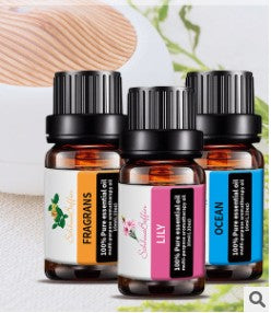 Lavender Rose Essential Oil | OEM Aromatherapy & Humidification Dream Tech Sleep