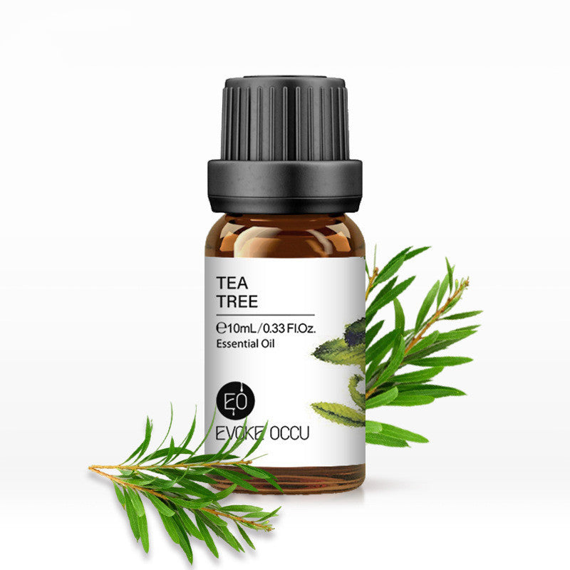 Aroma Essential Oil Lavender Humidifier Massage Oils Dream Tech Sleep