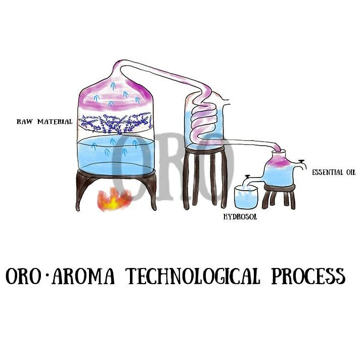 OroAroma Natural Verbena Essential Oil | Relaxation & Sleep Aid Dream Tech Sleep