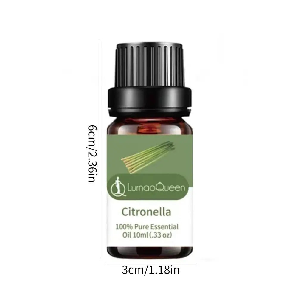 Organic Aromatherapy Essential Oils | Bergamot, Sandalwood, Peppermint Dream Tech Sleep