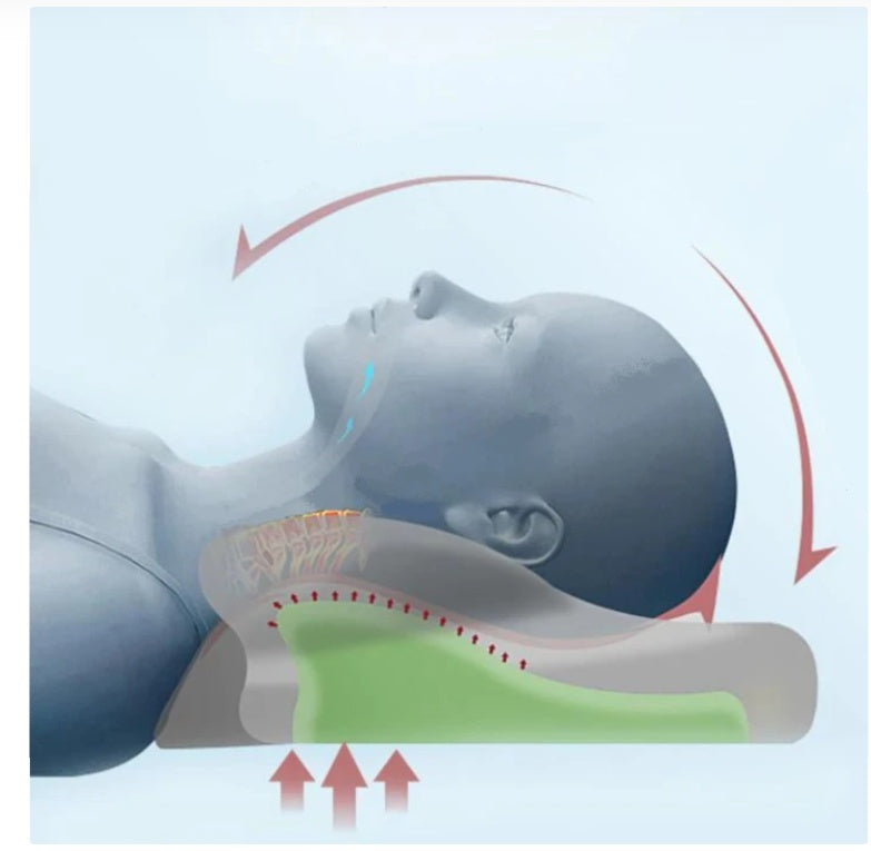 Orthopedic Latex Neck Pillow - Slow Rebound for Optimal Support Dream Tech Sleep