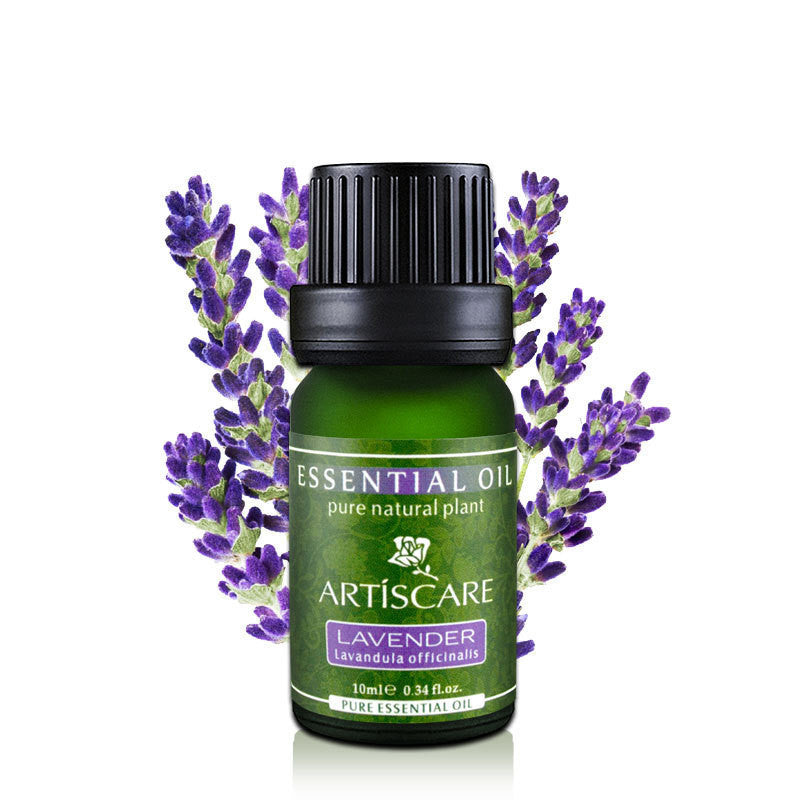 ARTISCARE Lavender Essential Oil  Dream Tech Sleep