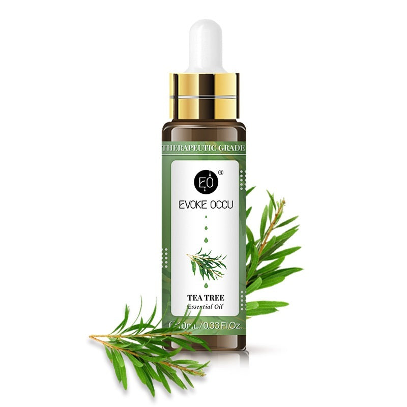 Rose Lavender Aromatherapy Essential Oil With Dropper 10ml  Dream Tech Sleep
