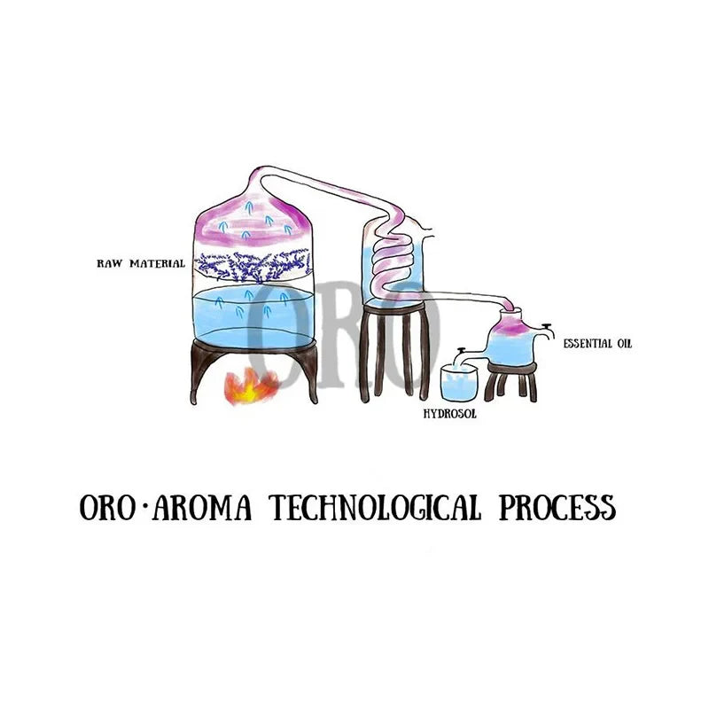 Oroaroma Peppermint Oil for Throat Moistening and Halitosis Relief  Dream Tech Sleep